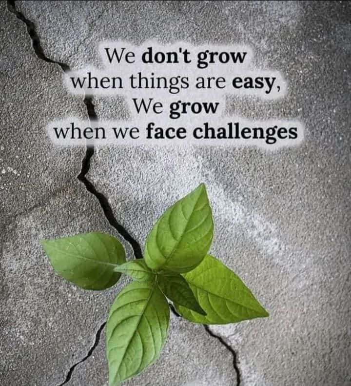 Nkosi Mkhize (@nkosimkhize15) on Twitter photo 