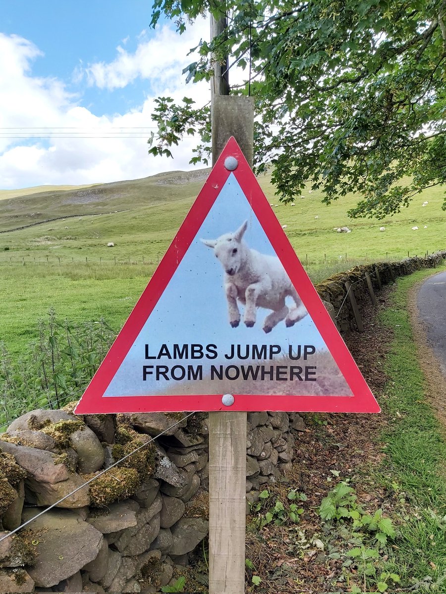I didn't realise until today's walk around Peebles that I could have a favourite road sign.