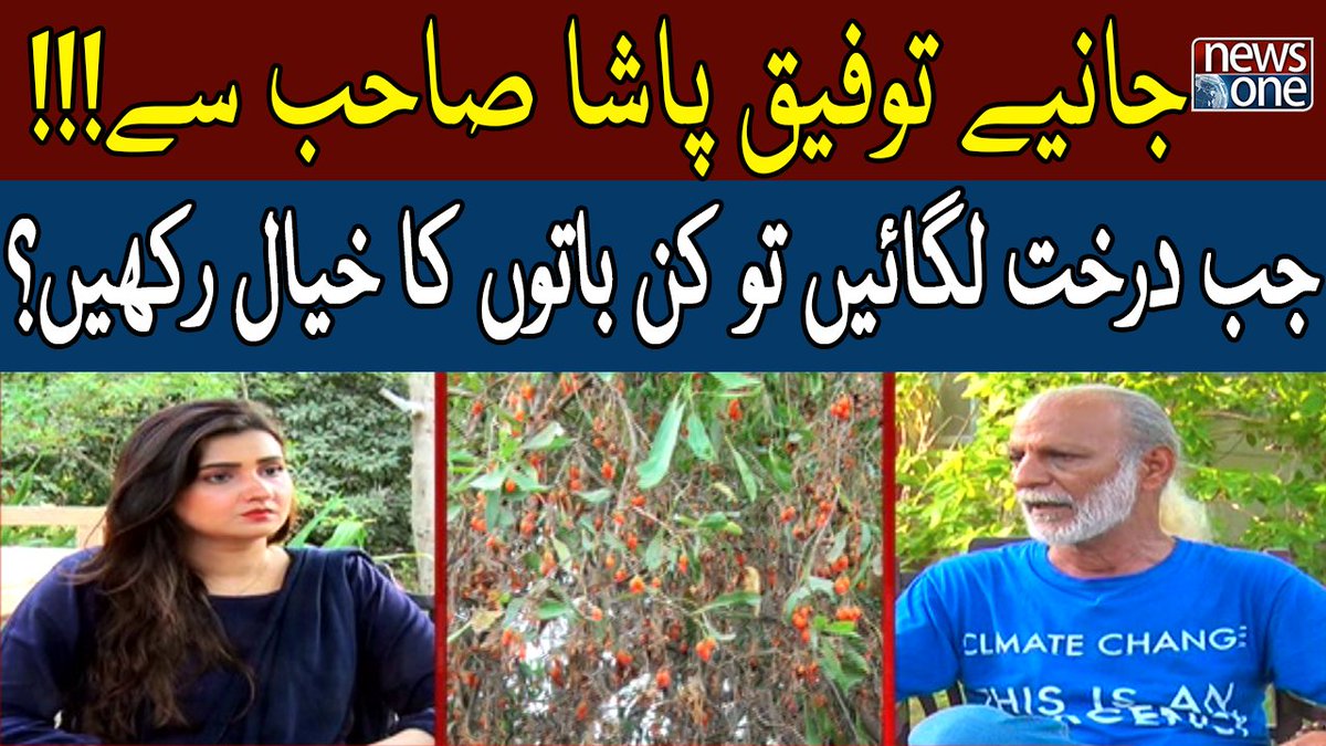 newsonepk's tweet photo. Jab Darakht Lagayen To Kin Baton Ka Khayal Rakhyn? | Such Ka Safar | San... https://t.co/Mm1pDeRcNs #NewsOne #SuchKaSafar #SanaFaisal #PMShahbazSharif #Planst #Trees #Environment #karachiCity #Policy #Conocarpus https://t.co/D21phmO0rd