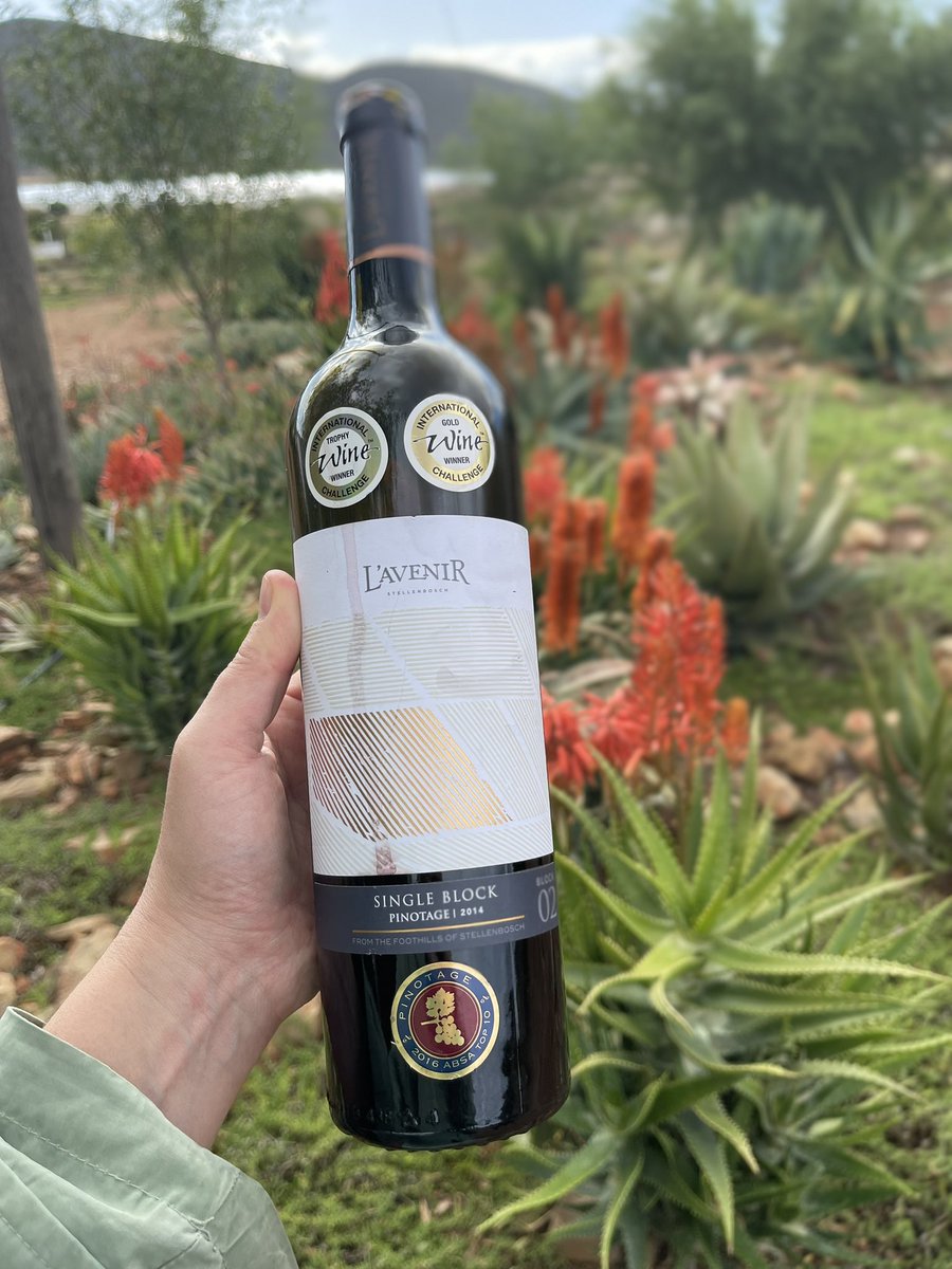 Proving fine pinotage is a thing.