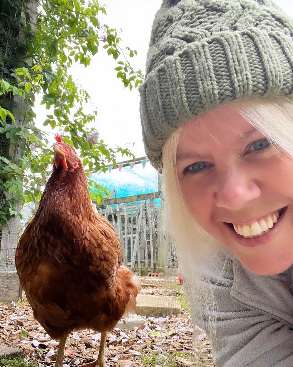 SomersetCool's tweet photo. Just me and my mate Magic hen, being silly on a #Sunday! 😂💛 #rescuehens #exbatts #sundayvibes #hens #adoptdontshop https://t.co/4oXtRSDElJ