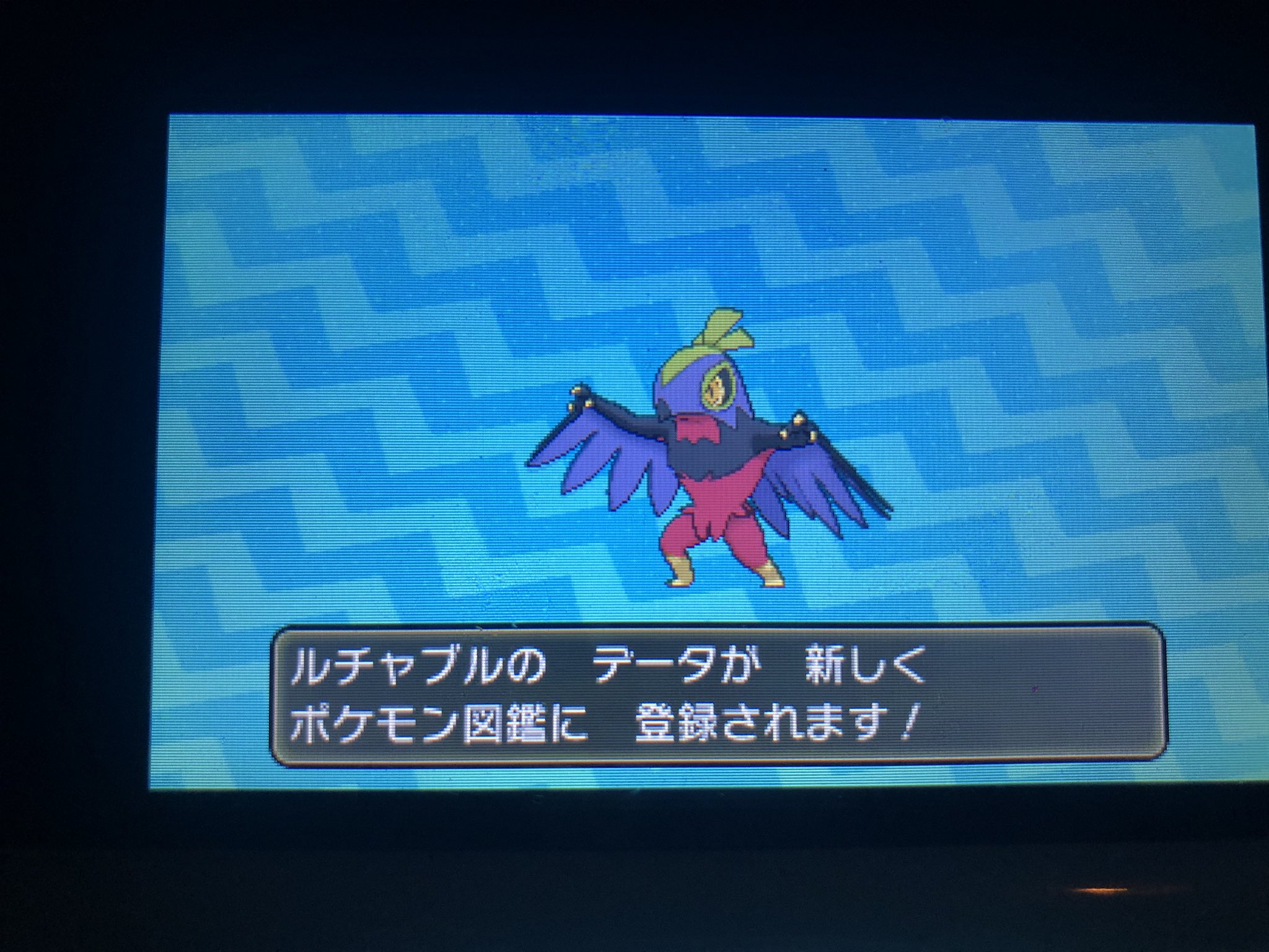 いと Usum 色違い図鑑 Inoito3 Twitter