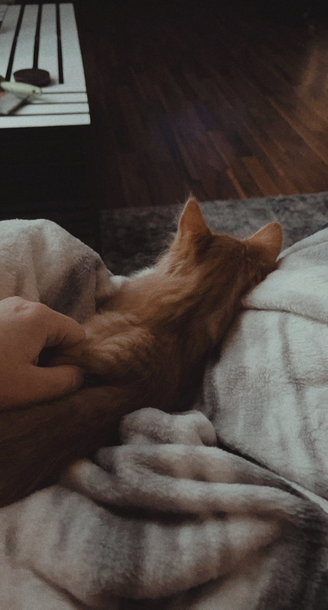 scarcoker's tweet photo. sleepy baby. https://t.co/q7E8ybVlNC