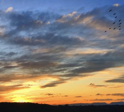 juwairi_yyah's tweet photo. june in sunsets 🌥 https://t.co/tic5Cs3qiY
