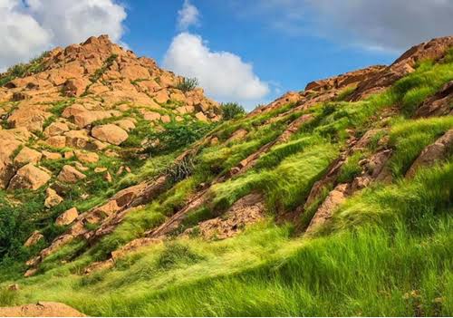 Mountains are adored as sacred deities because they are home to millions of living beings. They are our genome. How can you wipe out our identity only because you call it a development? 

#SaveKaroonjhar