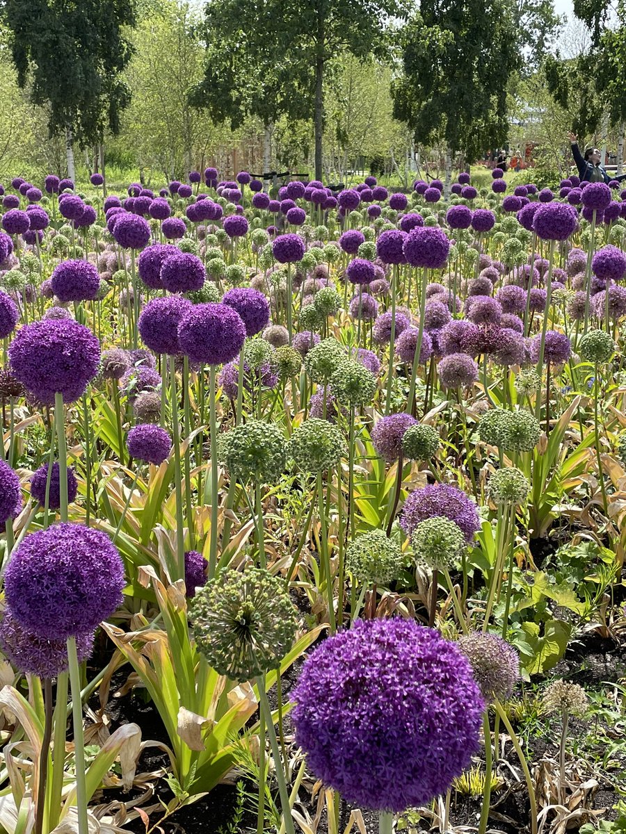 Bezoek aan Floriade op uitnodiging van directeur speciale projecten @JWGriep.
Thema: Greening the city. Actueler kan niet. Echt super gedaan. Ga kijken! @FloriadeExpo