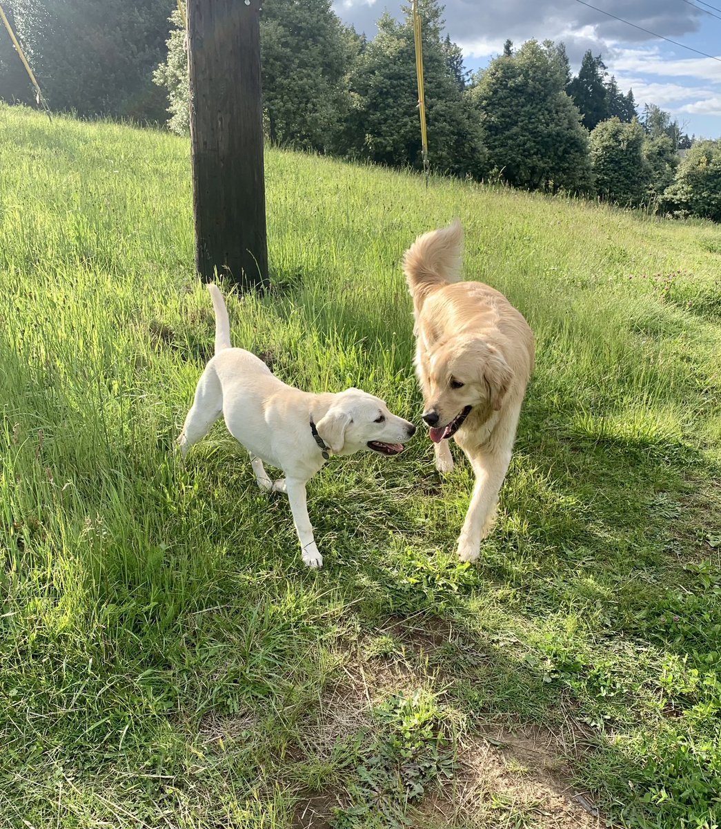 Mark Hass tweet media