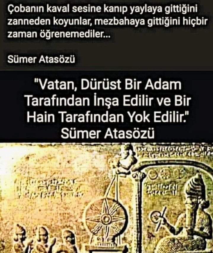 yseyren tweet media