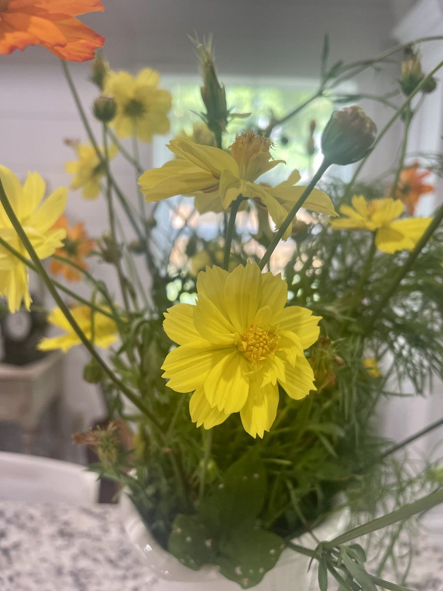 Happy Father’s Day to all the wildflowers out there. 🍦