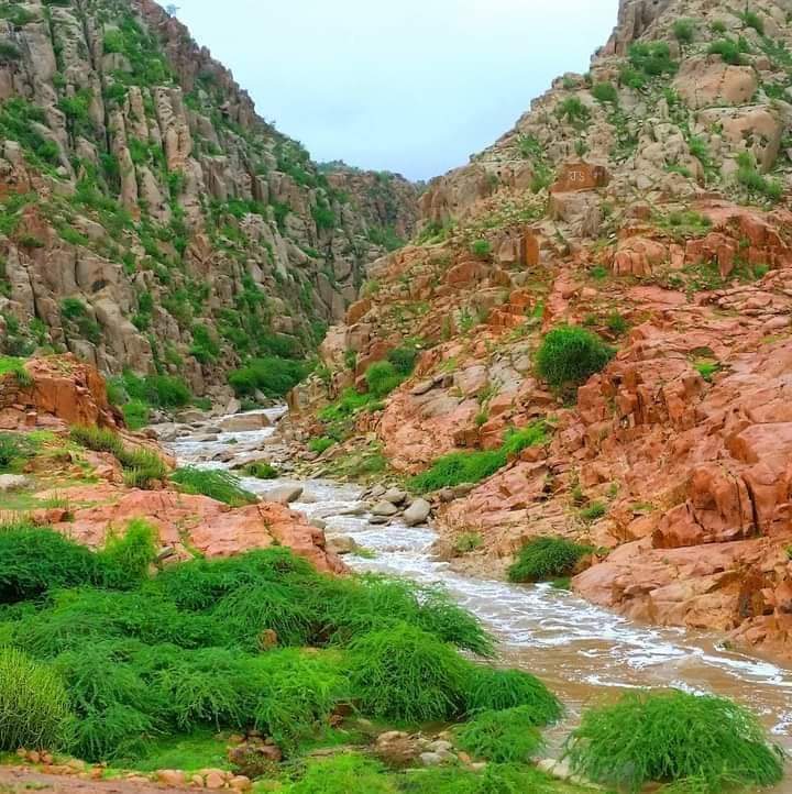 Karoonjhar is our custodian, preserving our heritage since thousands of years. It is one of the oldest mountains of the world. It might even have been there way before the inception of humanity. It deserves to live, it deserves to be respected.

#SaveKaroonjhar