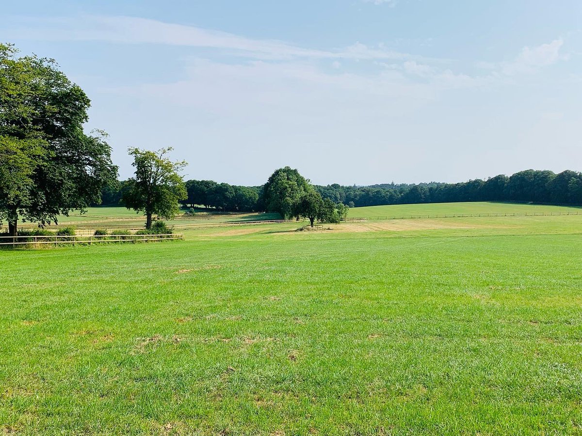 GregoryVayre's tweet photo. Fier du travail accompli ! Déjà 8 mois de travaux 🚧 , 5 km de clôtures , prairies refaites, 3 barns seront construits d’ici quelques mois . on sera près à vous accueillir à la fin de l’année 😍
@AmbreVayre @agvkarwinstud https://t.co/a0n6fu30yK