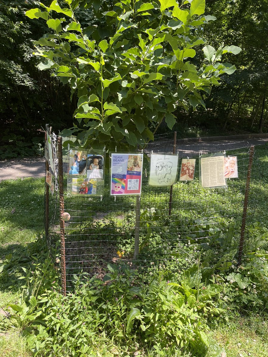 KFILE's tweet photo. Did the best Father’s Day activity. Took Talia to Beans’ tree and added/replaced photos. Thanked her for making me a dad. https://t.co/sv7LNamvTP to help us build the Infant Brain Tumor Program at Dana-Farber Cancer Institute. https://t.co/aGDoy1huIO