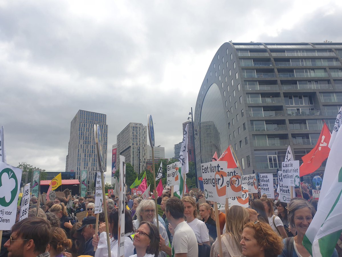 PvdDUtrecht tweet media