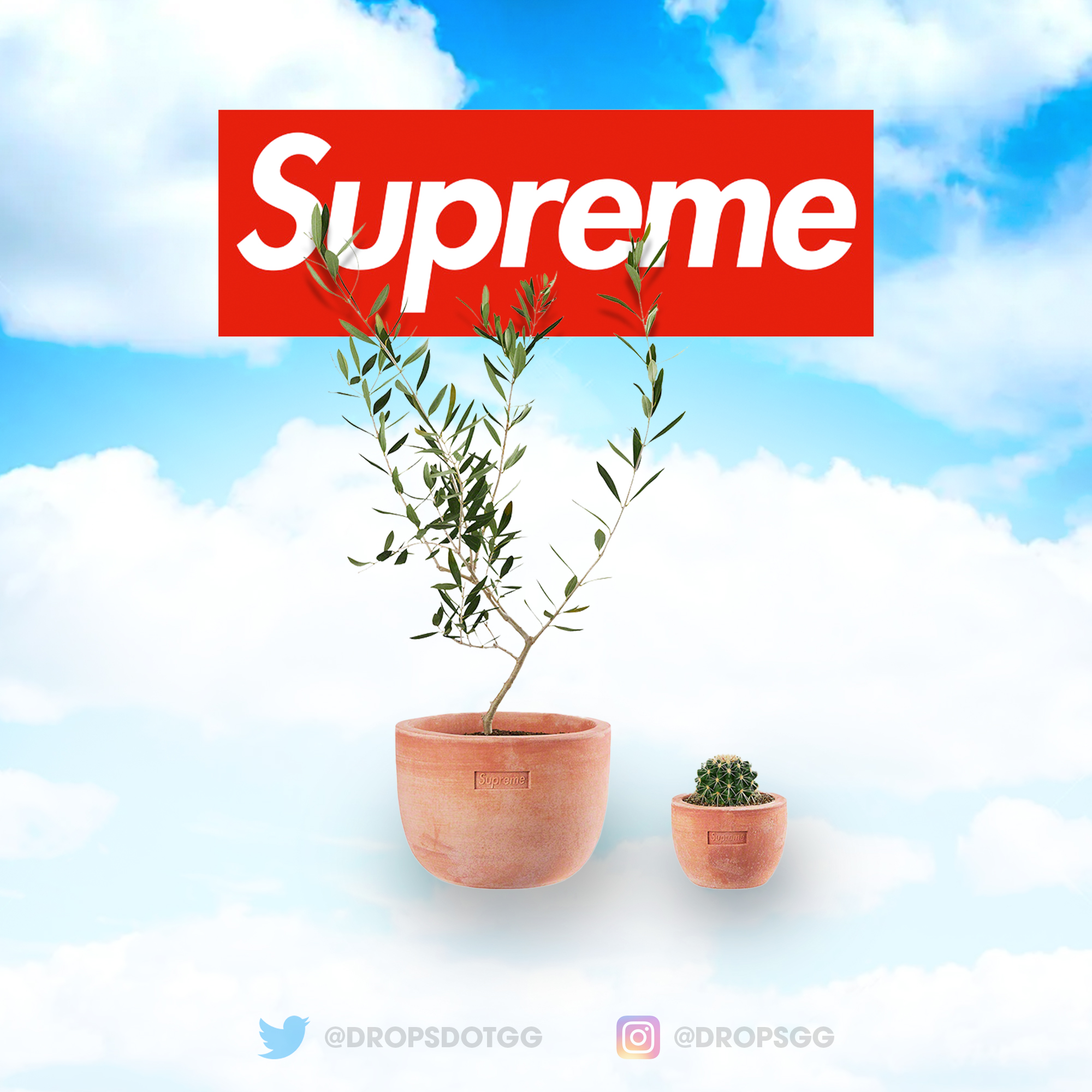 Supreme®/Poggi Ugo Small Planters シュプリーム