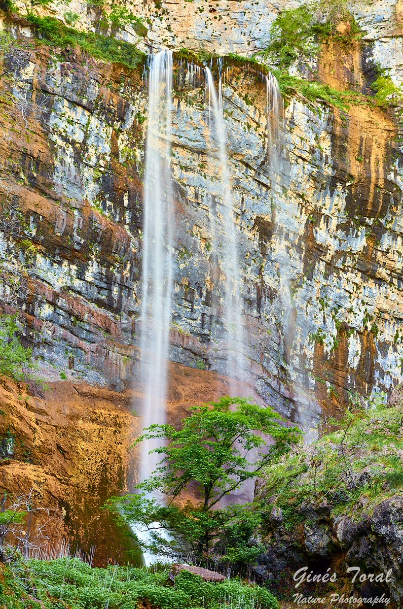 toralperezgines's tweet photo. Nacimiento del Río Mundo.
#albacete #riomundo #españa #spain #montañas #mountain #paisajes #landscape #cascada #waterfall #agua #water #rio #river #lonelyplanet #total_nature_spain #world_photography_page #naturelover #naturephotography #visuelearth https://t.co/9hGIpsS4GH