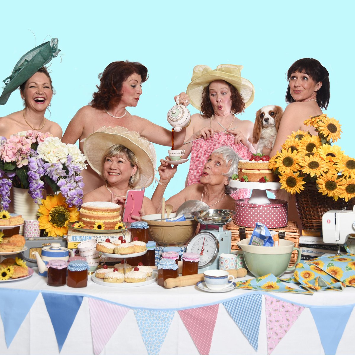 Brighton Little Theatre tweet media