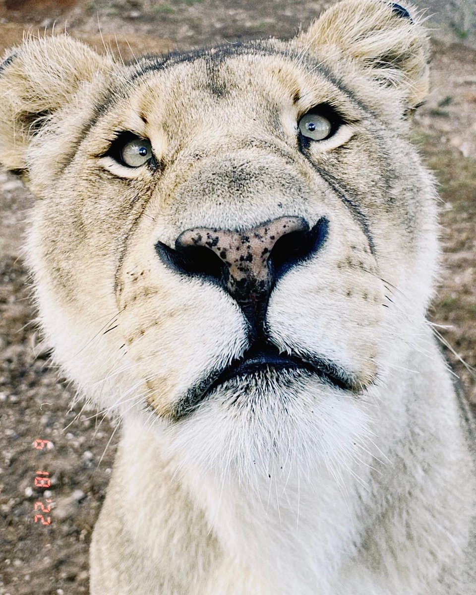 back in South Africa, second home. 🤍 🇿🇦 🤍