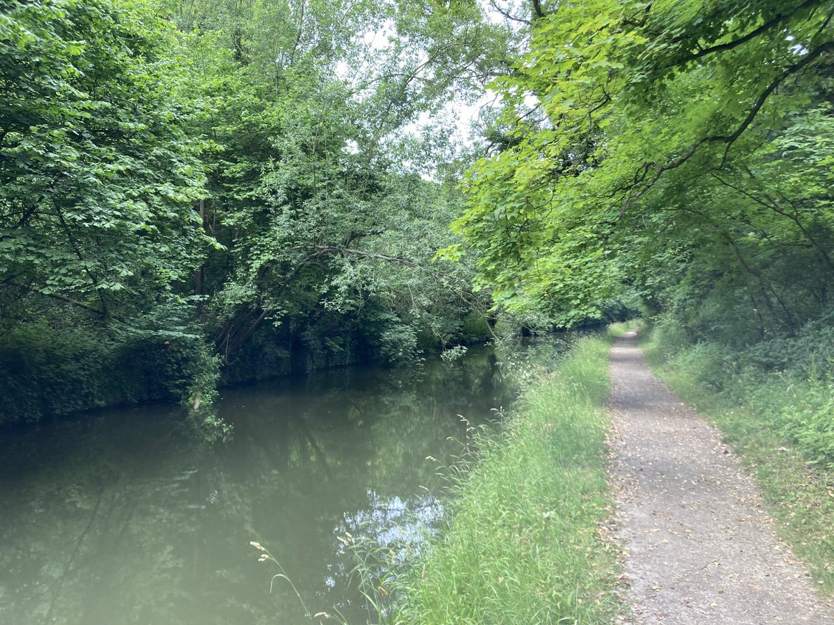 Run Berkhamsted tweet media