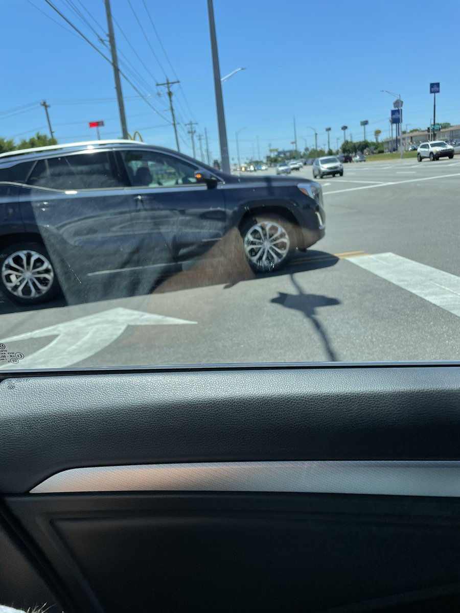 DuaneDotson's tweet photo. @joeimel Lady’s sitting in the on coming traffic lane waiting to turn left on Scottsville road https://t.co/0FRc3PY77o