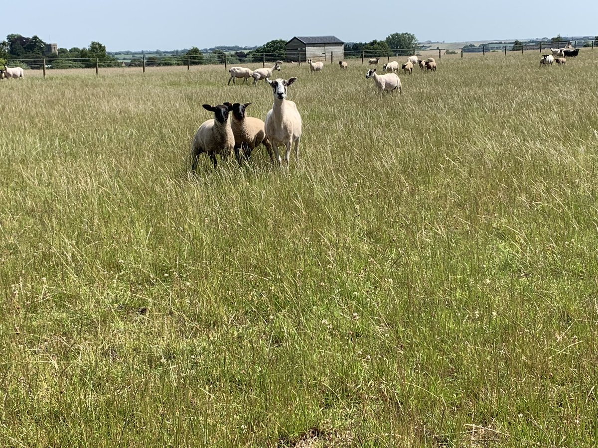 Charlotte Powell tweet media