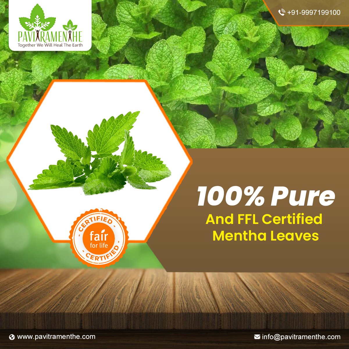 pavithramenthe's tweet photo. Mentha leaves are popularly used as tea flavoring agent by tea manufacturers. Pavitramenthe provides 100% natural, organic and fair for life certified mentha leaves in bulk quantity at reasonable prices to tea manufacturers. 

#mentha #leaves #MenthaLeaves #mint #leaf #MenthaLeaf https://t.co/pAGdHIWZ8t