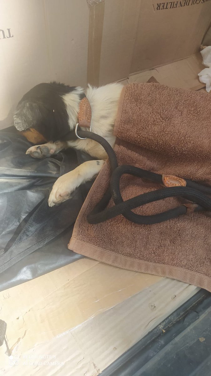 𝓒𝓪𝓻𝓶𝓮𝓷 𝓒𝓮𝓻𝓿𝓪𝓷𝓽𝓮𝓼 ® tweet media