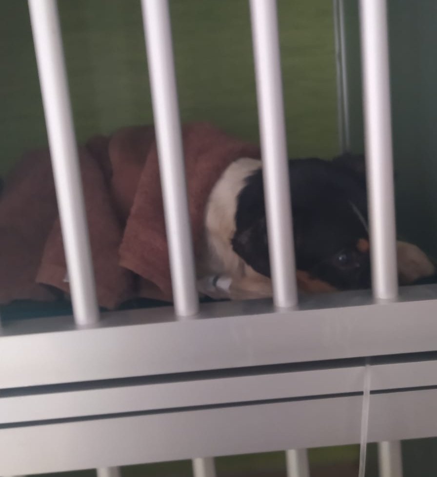 𝓒𝓪𝓻𝓶𝓮𝓷 𝓒𝓮𝓻𝓿𝓪𝓷𝓽𝓮𝓼 ® tweet media