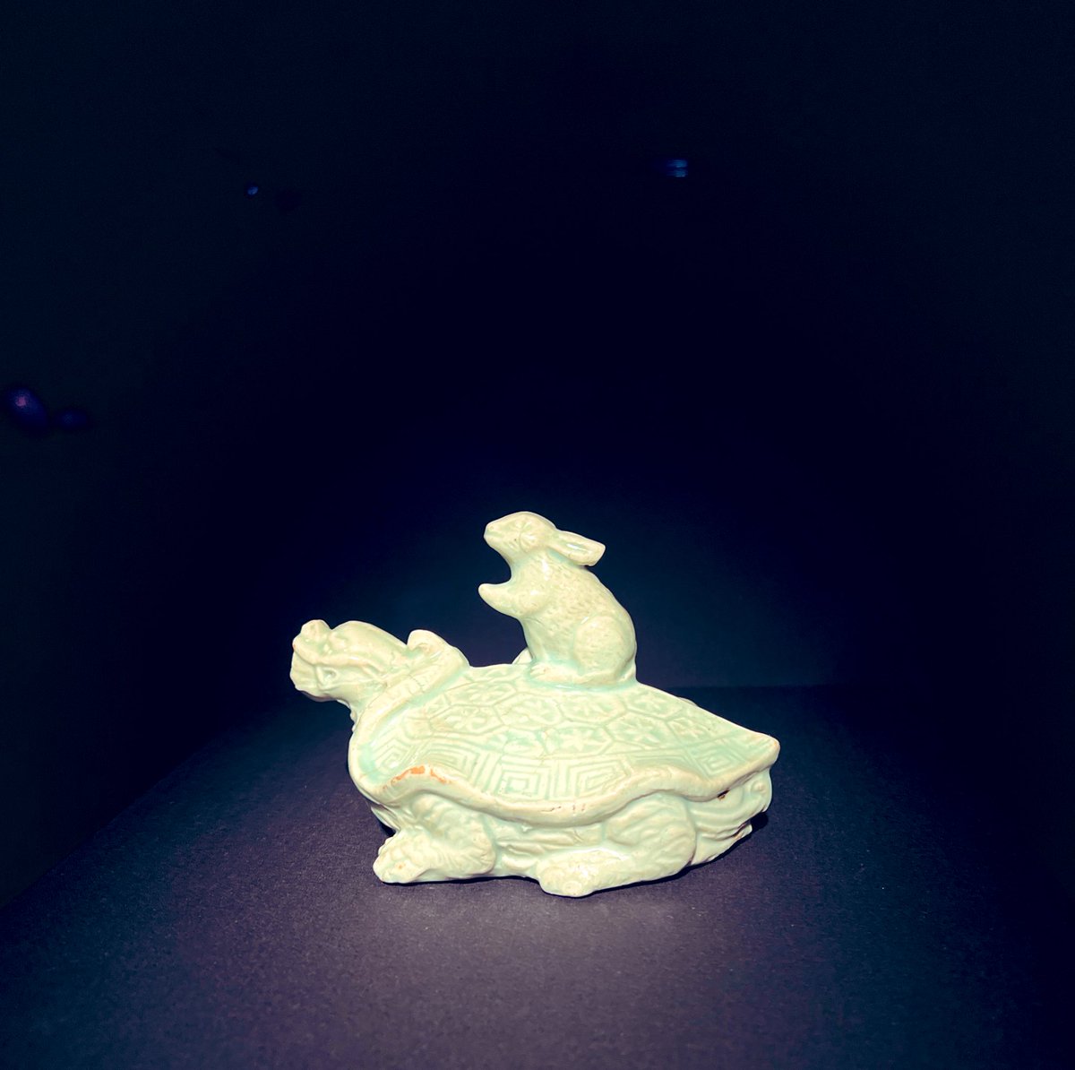 Tortoise and hare together 🥚