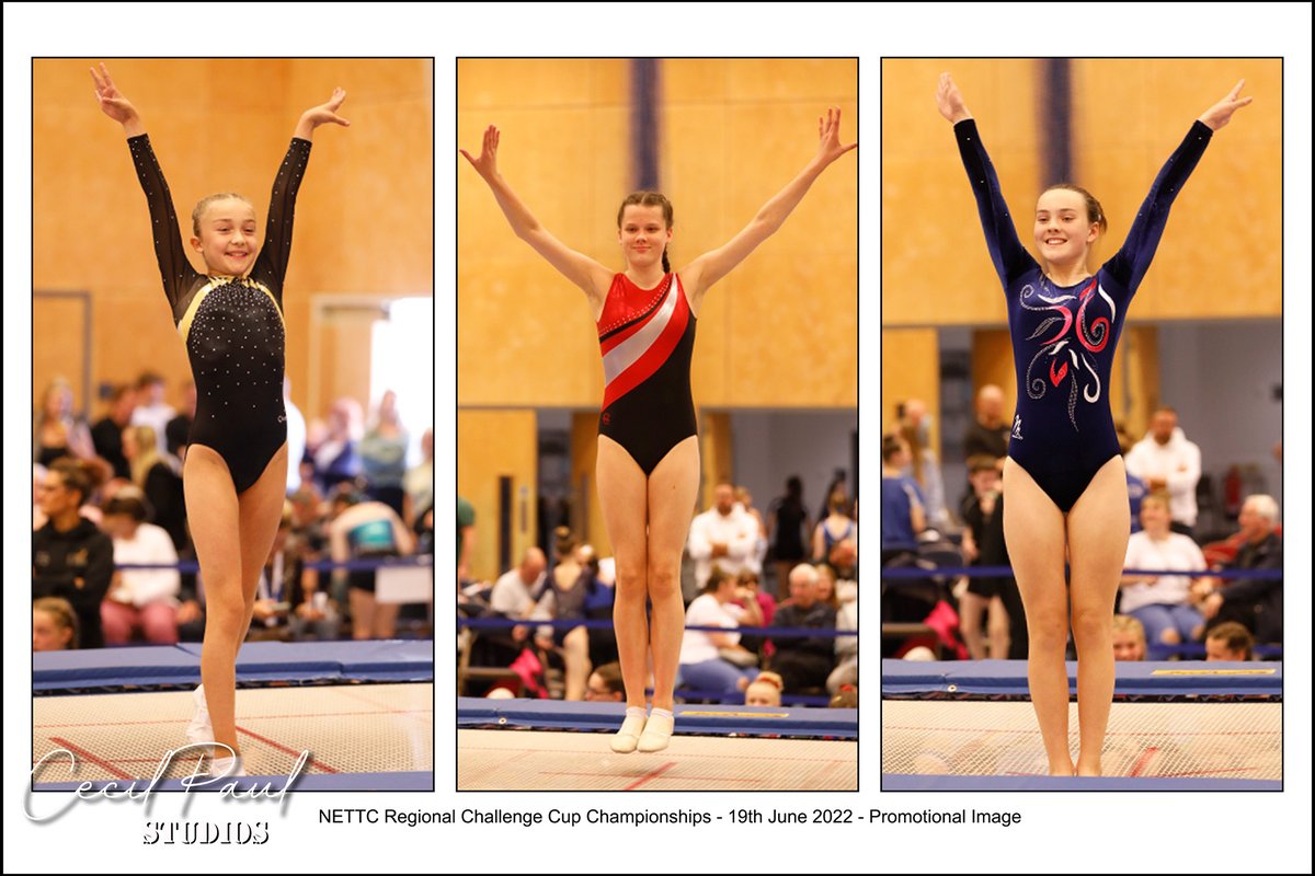 Cecil Paul Studios tweet media