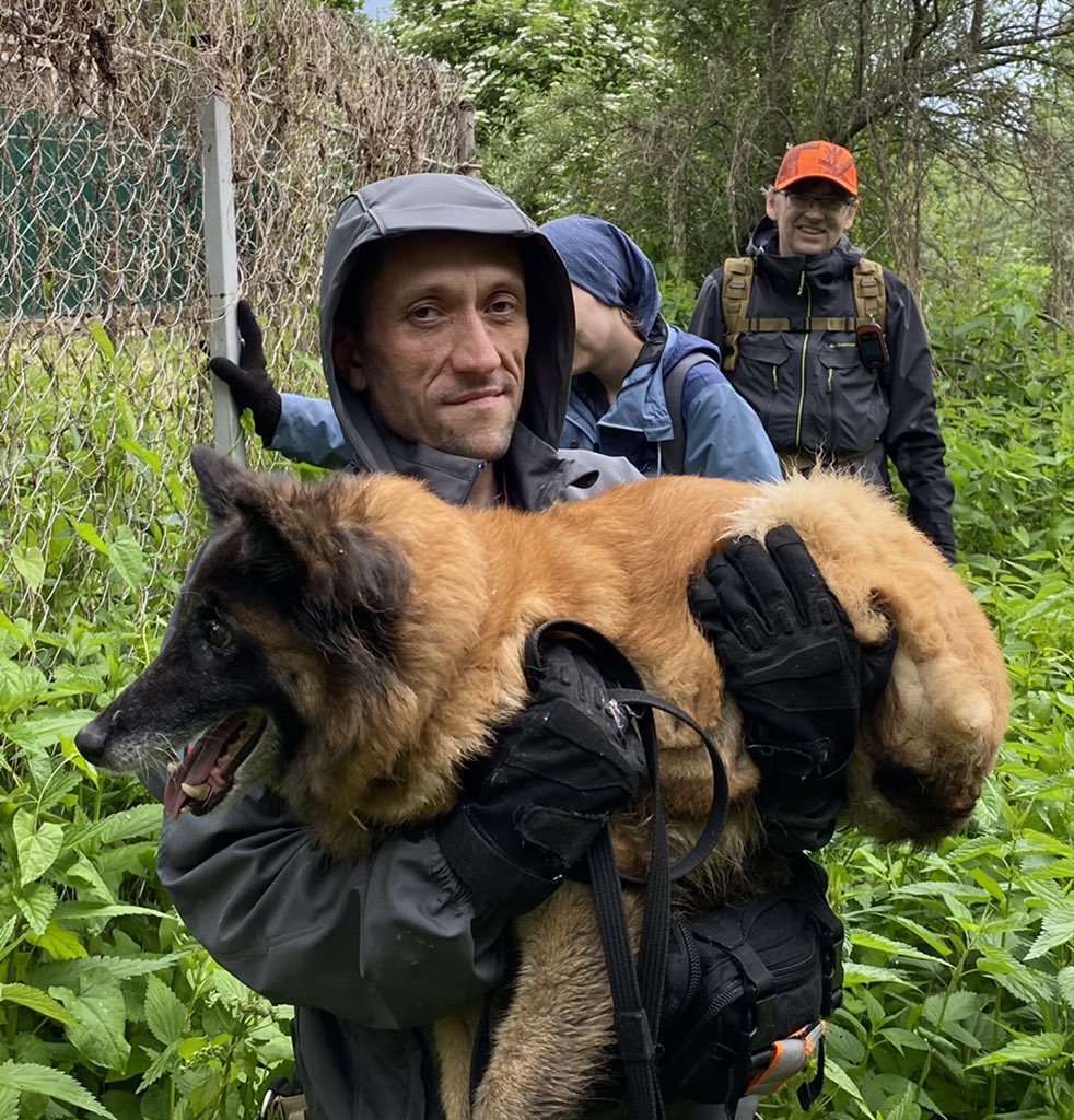 Веснушка tweet media