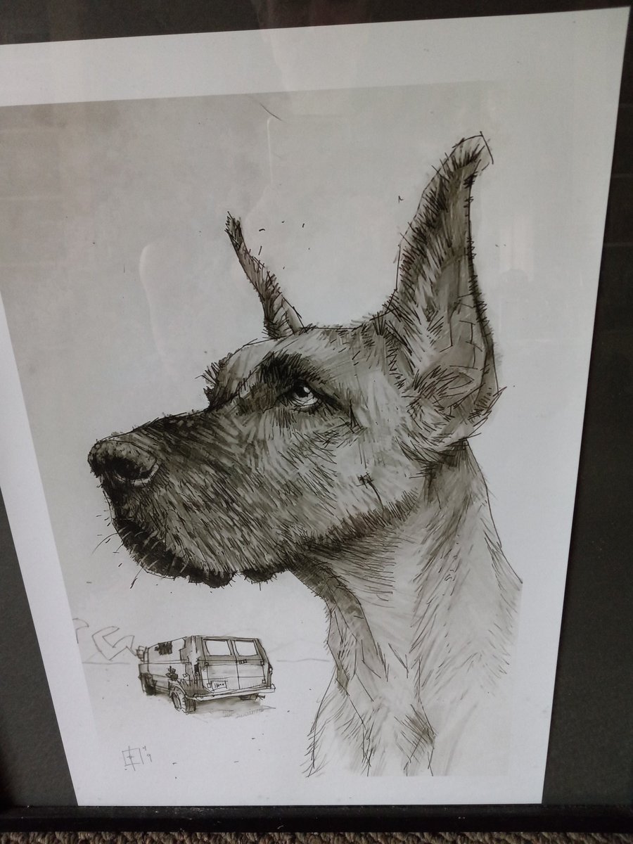 Scoobydude (@scoobyjim) on Twitter photo 