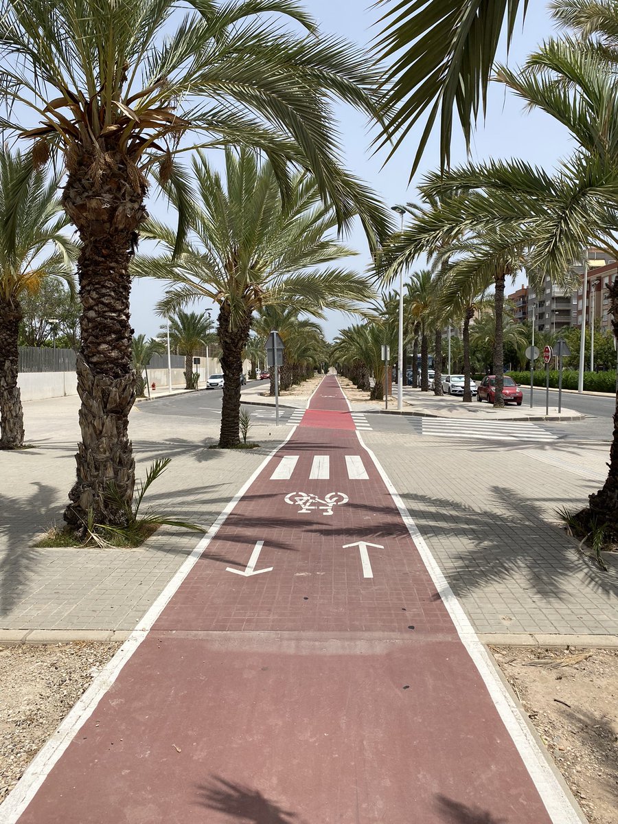 So geht Radweg! #Fahrrad #CiudadElche #Spanien #España #CostaBlanca #Palmen