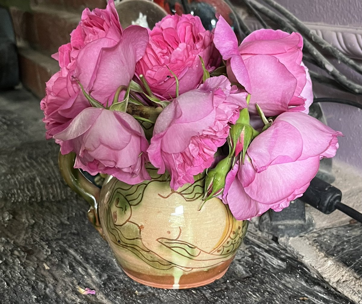 Roses for the lounge #cutflowers #frommygarden #pinkroses #favouritevase #gardening #gardeningtwitter