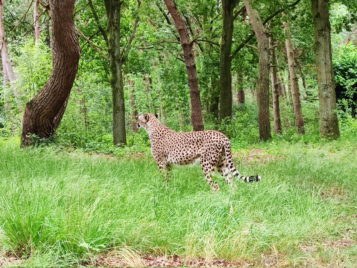 bean 🌺 tweet media