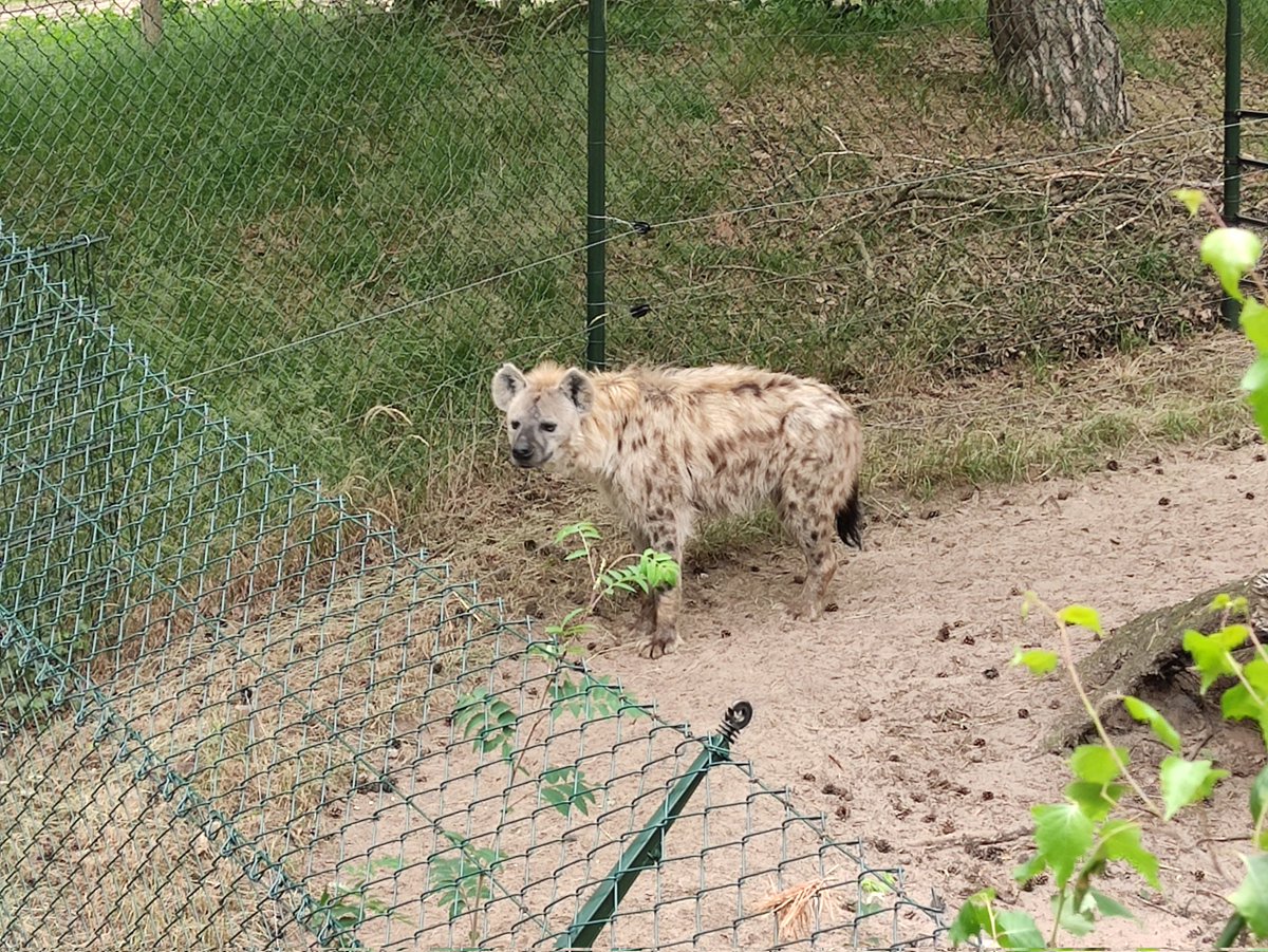 bean 🌺 tweet media