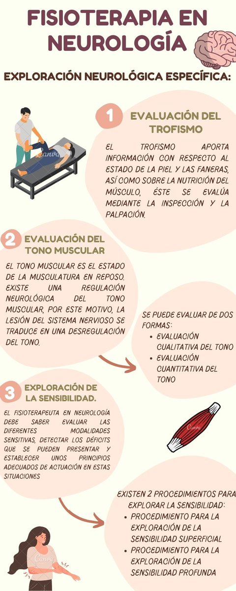 nanisbubble_90's tweet photo. 🧠FISIOTERAPIA EN NEUROLOGÍA: EXPLORACIÓN NEUROLÓGICA ESPECÍFICA. 🧠📋

@Monserr53524671 https://t.co/je5ntIv1JC