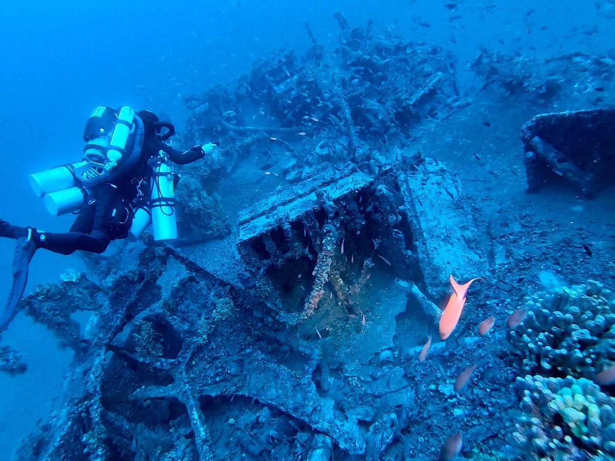Checking out th wreckage of the HMS Southwold destroyer. It’s broken into two sections and this was the stern which sits at 71m. Run time was 115 minutes and bottom temperature 14C 🇲🇹 #malta #tecdiving #Prism2 #hollis…

📸 instagram.com/p/Ce_sQ0jj2aN/ via tweet.photo