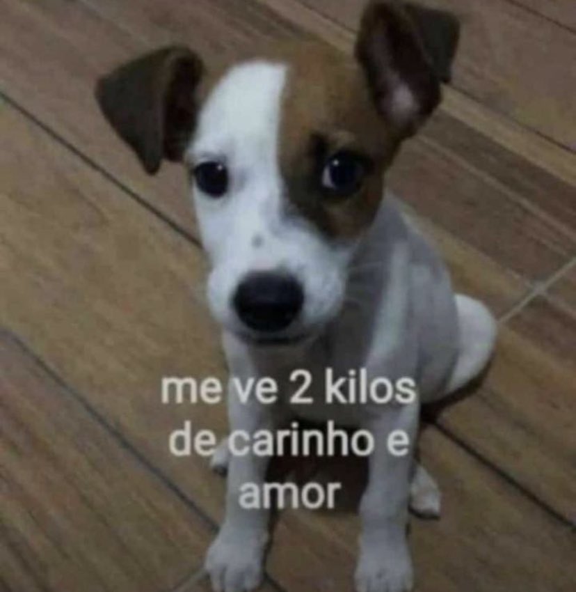 se a terra não é plana como explica o céu reto? (@moreiraviw) on Twitter photo 