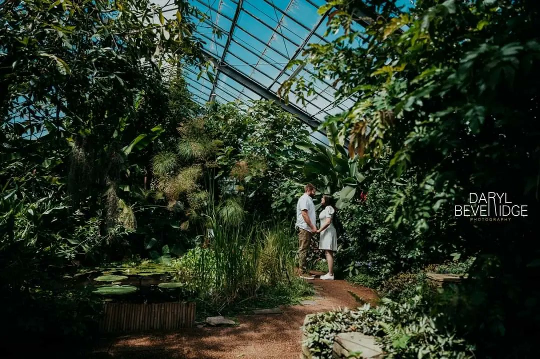 BeveridgeDaryl's tweet photo. I had 2 pre wedding shoots yesterday in Dundee at the very idyllic @UoDBotanicGarden. Beth &amp; Roddy were first up &amp; WOW what an amazing time we had. https://t.co/LZgdkoqbDg