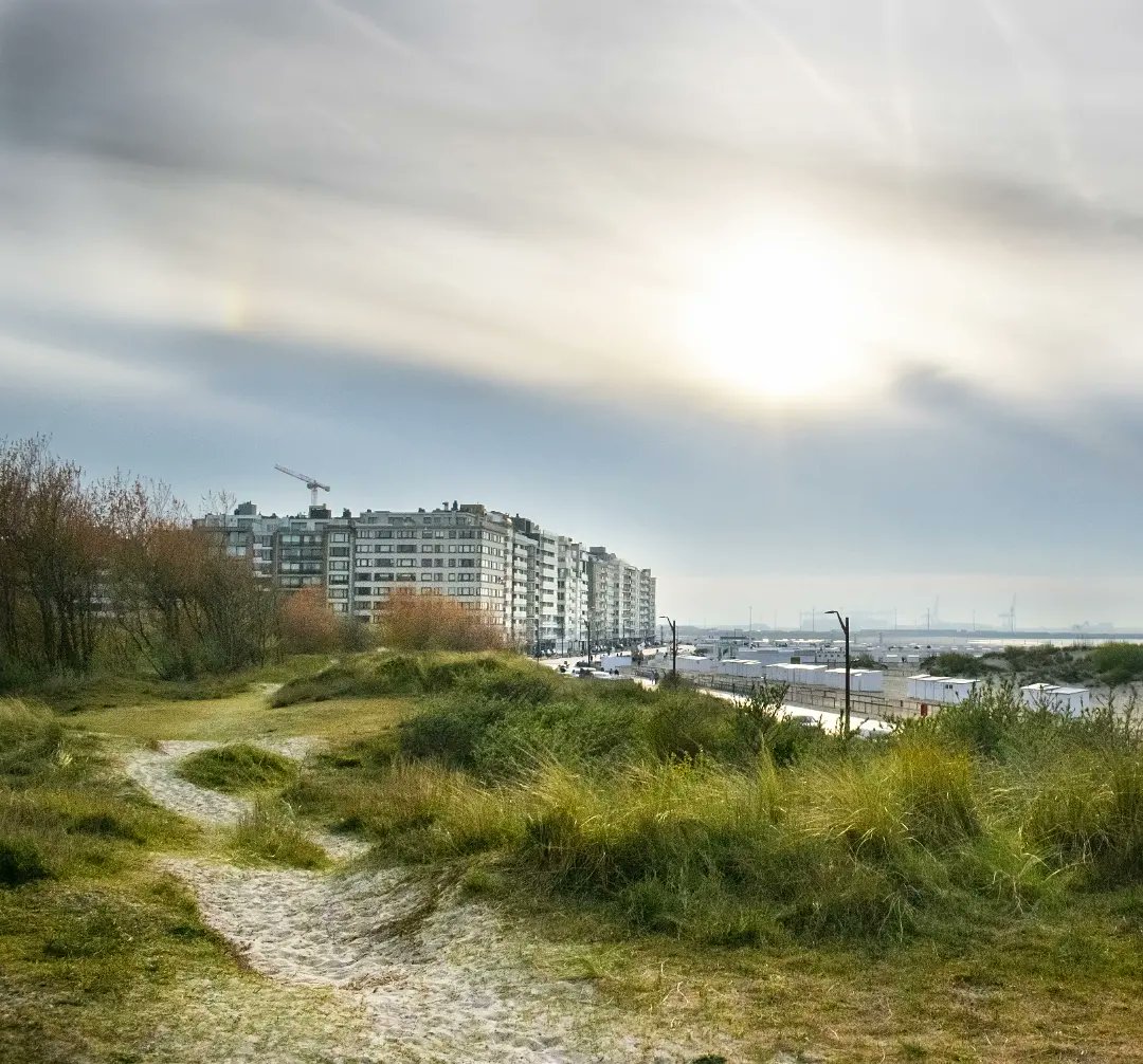 llarallama's tweet photo. Dunes are cool

#photography #photographer https://t.co/86miNFVGxe