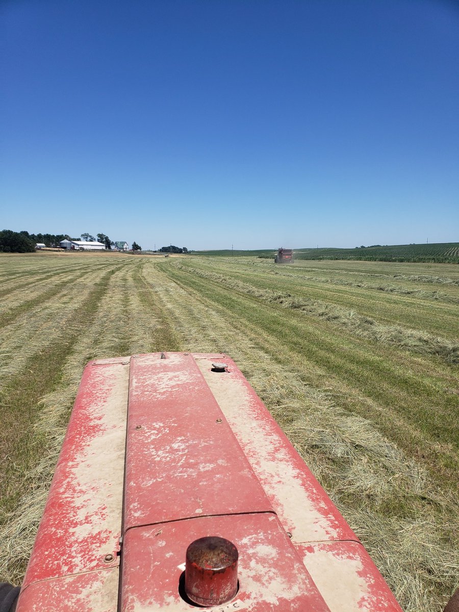 PETERSONIHFARMS's tweet photo. To all the IH dads out there, Happy Father's Day! To all the green kool aid drinkers...Happy Mothers Day!!! https://t.co/BVR1B8zlkH