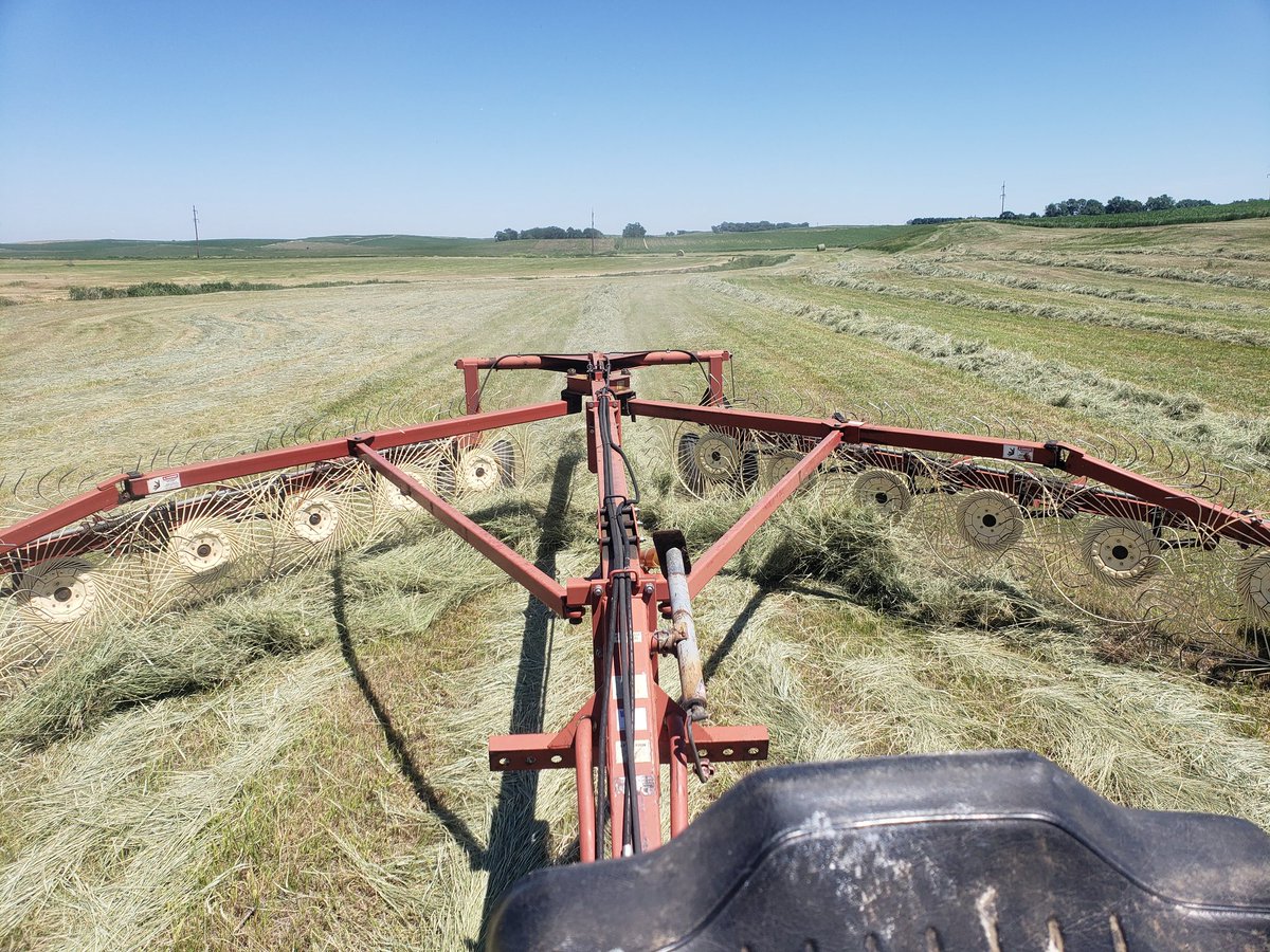 To all the IH dads out there, Happy Father's Day! To all the green kool aid drinkers...Happy Mothers Day!!!