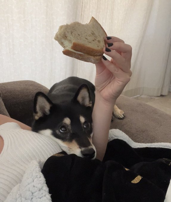 1 pic. Mum please give? https://t.co/XSFSy01w2o<a href="/tag/borderlands"class="tags"><span>#borderlands</span></a><a href="/tag/borderlandsfilm"class="tags"><span>#borderlandsfilm</span></a>