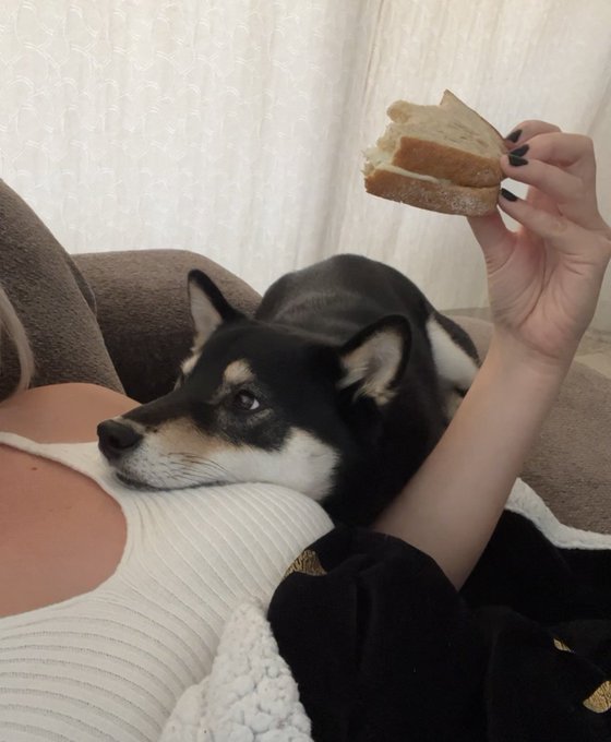 2 pic. Mum please give? https://t.co/XSFSy01w2o<a href="/tag/borderlands"class="tags"><span>#borderlands</span></a><a href="/tag/borderlandsfilm"class="tags"><span>#borderlandsfilm</span></a>