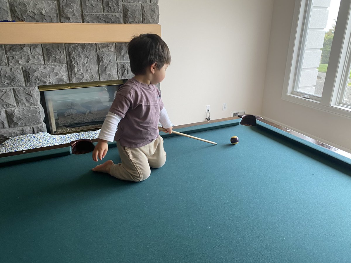 Tai Rattigan tweet media