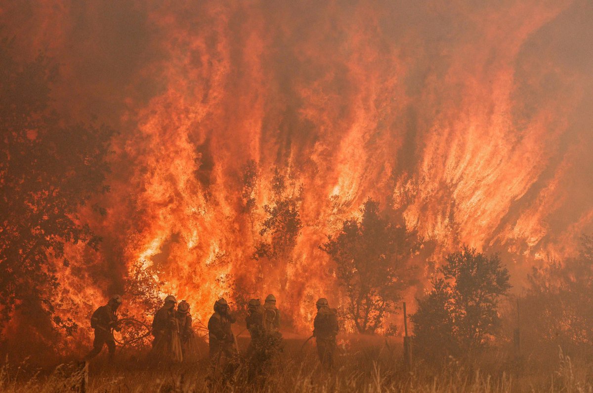 No estamos siendo conscientes del daño que generamos en nuestro planeta. Solo hasta que lo vemos.
#IFSierraDeLaCulebra 
El peor incendio del decenio.
Devastador.
Fuerza Zamora.