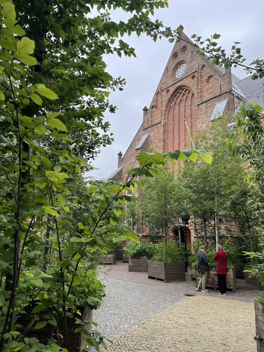 TjalsmaAnna's tweet photo. Vanochtend #bosk in de Jacobijnerkerk in Leeuwarden. Ontzettend bijzonder! @LF_2028 https://t.co/mKIfnYZGPu