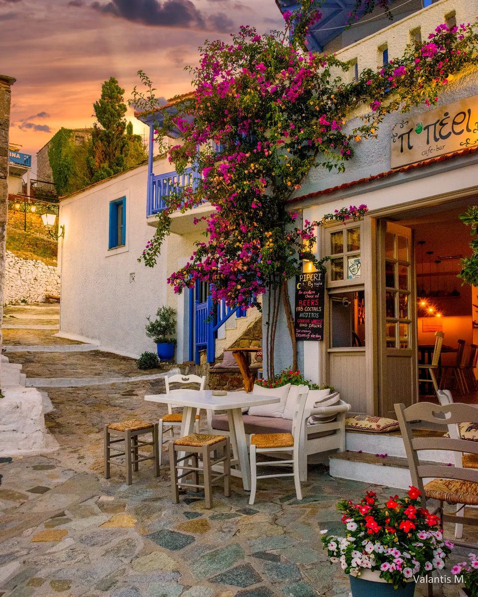 isolegrecheinfo's tweet photo. L'isola di ALONISSOS, un piccolo gioiello dell'arcipelago della Sporadi, in Grecia. 💙🇬🇷
Scopri i migliori alloggi di ALONISSOS selezionati da noi durante i nostri viaggi sull'isola.
🏡 https://t.co/mQQtcZpok7
📷 minogiannisvalantis
#viaggi #grecia #travel #greece #isolegreche https://t.co/gOjUqmKWLa