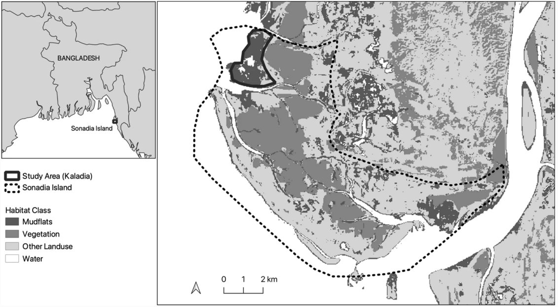 RSPB Science (@rspbscience) on Twitter photo Another local population of the critically endangered Spoon-billed Sandpiper is in rapid decline. Authors call for urgent threat reassessment & improved conservation action
Paper by <a href="/SayamChowdhury/">Sayam U. Chowdhury</a> et al w/ <a href="/CamZoology/">Dept of Zoology</a> & #RSPBScience bit.ly/3HC3O4P #Ornithology <a href="/SBS_TF/">Spoon-billed Sandpiper Task Force</a> Another local population of the critically endangered Spoon-billed Sandpiper is in rapid decline. Authors call for urgent threat reassessment & improved conservation action
Paper by <a href="/SayamChowdhury/">Sayam U. Chowdhury</a> et al w/ <a href="/CamZoology/">Dept of Zoology</a> & #RSPBScience bit.ly/3HC3O4P #Ornithology <a href="/SBS_TF/">Spoon-billed Sandpiper Task Force</a>