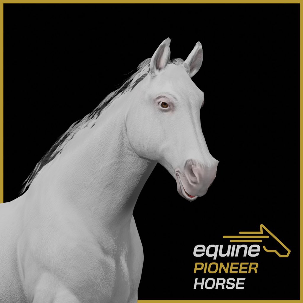 belk_tre's tweet photo. Get your @EquineNFT while you still can! Big things happening https://t.co/rSFGoXNlbP